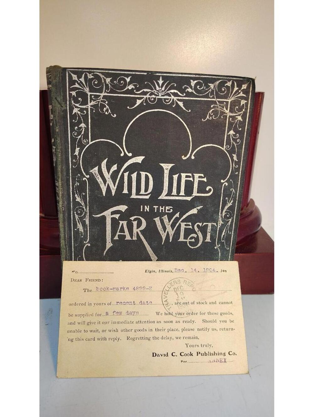 Wild Life in the Far West (1902) C. H. Simpson Rhodes & McClure Montana Indians